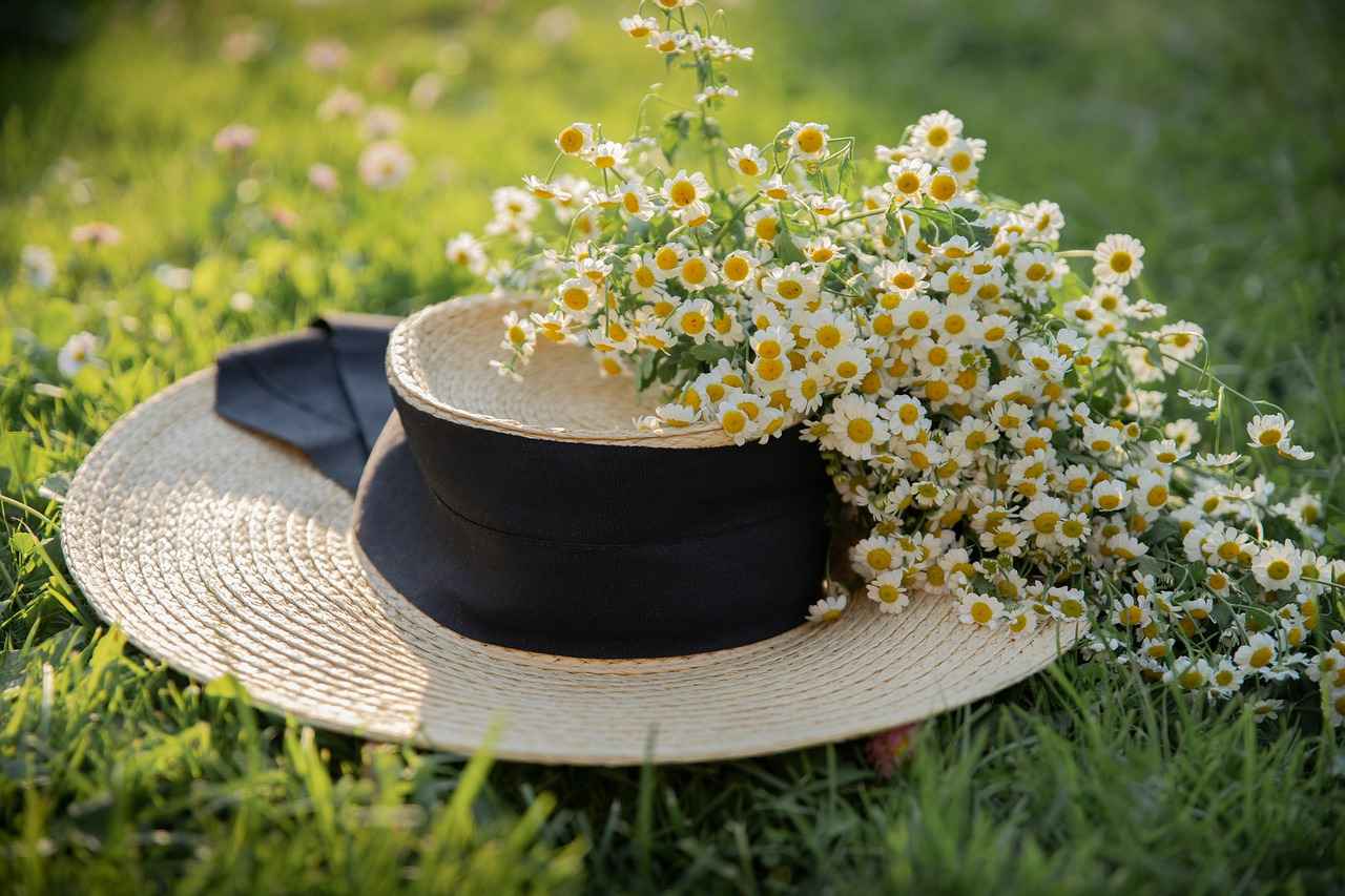 Wide Brim Straw Hats For Women – What Makes Them Special? 