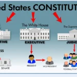 The Executive Branch of the U.S. Government: Structure, Powers, and Functions