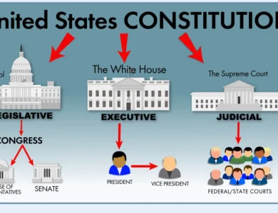 The Executive Branch of the U.S. Government: Structure, Powers, and Functions