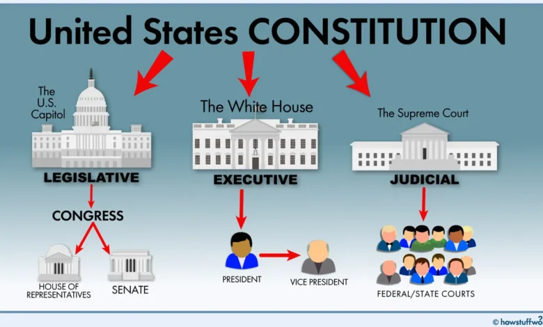 The Executive Branch of the U.S. Government: Structure, Powers, and Functions